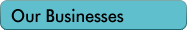 Our Business